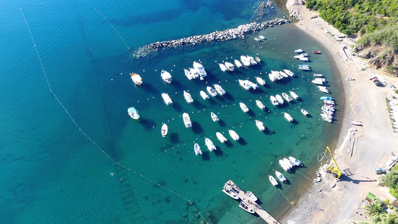 Camping Lacona Capoliveri  Eksteriør bilde